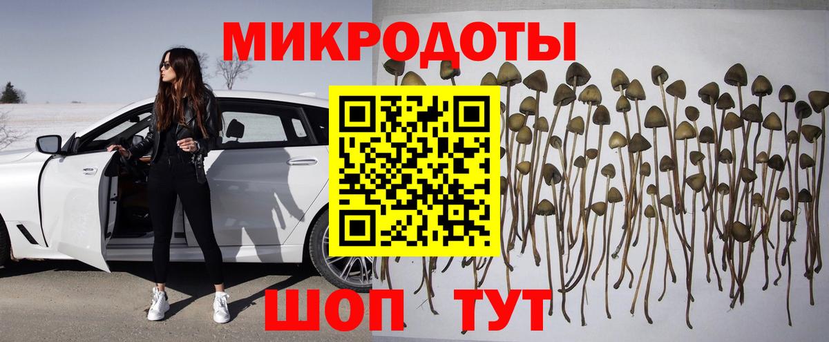 Большой Камень  Псилоцибиновые грибы Psilocybe  Вход с VPN 