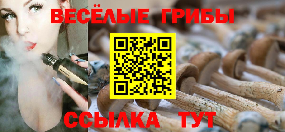 Псилоцибиновые грибы мицелий Большой Камень